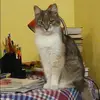 Отзыв от Вика Шувалова